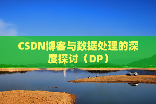 CSDN博客与数据处理的深度探讨（DP）